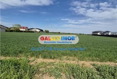 Teren Construcții intravilan de 14300 mp, în Dragomirești-Vale - 2