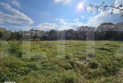 Spațiu comercial, în Sălicea