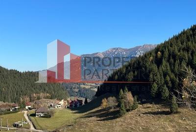 Teren Fundatica intravilan 4500 mp - 13