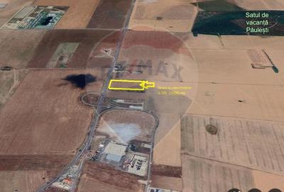 Teren Construcții intravilan de 25000 mp, în Nord-Vest - 2