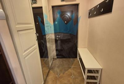Apartament cu 3 camere decomandat, mobilat în Giurgiului - 14