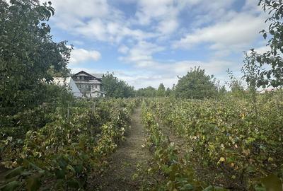 Teren de 1655 mp, în Aroneanu - 7