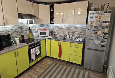 Vila spatioasa, hale si teren total 1700 mp, Calea Surii Mici, Sibiu - 8