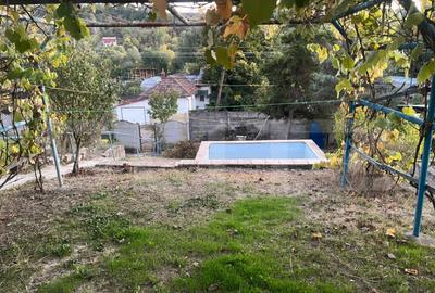 Casa cu piscina P+M, 1.368 mp teren, Leamna de Sus - 13