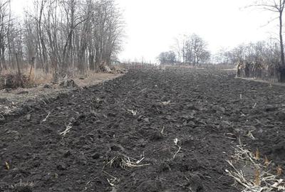 Casă cu 5 camere în Roman - 1