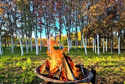 Inchiriez gradina urbana pentru recreere in Cartierul Padurea Baneasa - 2