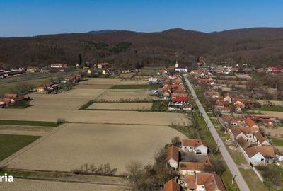 Teren de 2970 mp, în Mașloc - 12