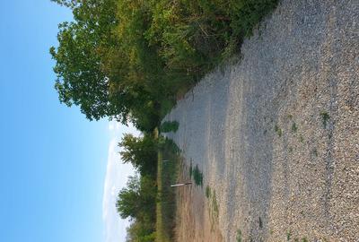 Teren pentru casa de 1021 mp in Scrovistea - 1