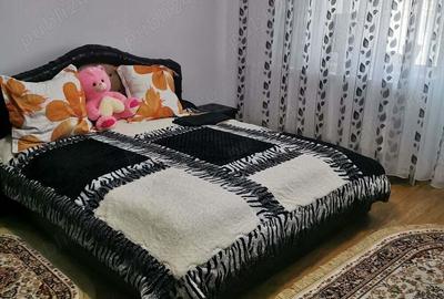 Apartament cu 2 camere decomandat în Deveselu - 7