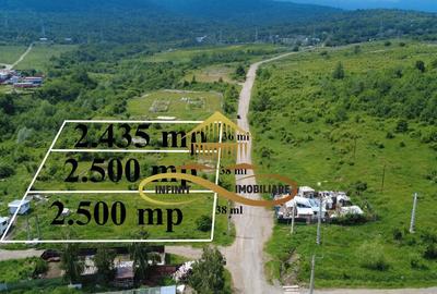 Teren pentru constructie hala indrustriala - Moinesti/Bacau - 1