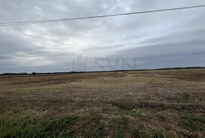 Teren agricol intravilan de 46495 mp, în Industrială - 9