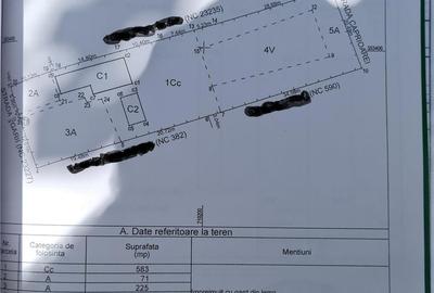 Casă cu 4 camere cu Teren 1578 Mp în Țăndărei - 2