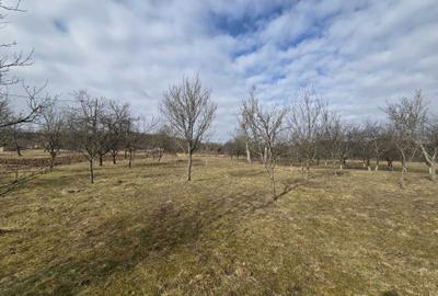 Teren de 3800 mp, în Moigrad-Porolissum - 5