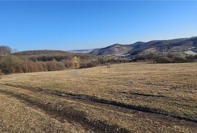 Teren extravilan de 6119 mp, în Tăuți - 4