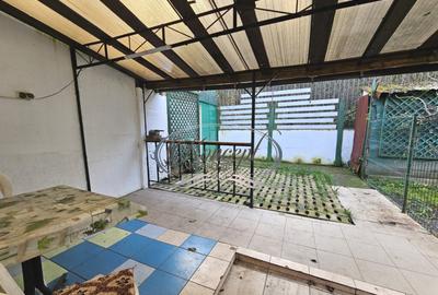 Casa pet friendly in Plopilor - 8