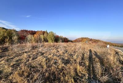 Teren de vanzare la drum asfaltat Ramet - 5