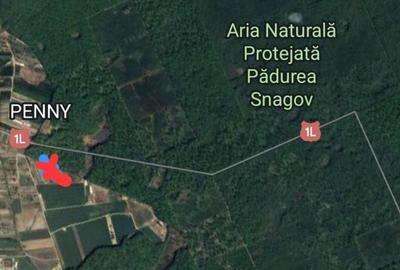 Spațiu comercial, în Ciolpani - 1