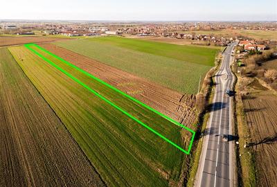 Teren intravilan de 5000 mp, în Tămășeu - 3