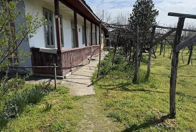 Casă cu 3 camere cu Teren 3000 Mp în Rasa - 3