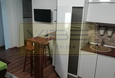 Popas Pacurari- Casa Auto Dacia - Apartament 1 camera - Parcare privata - 5