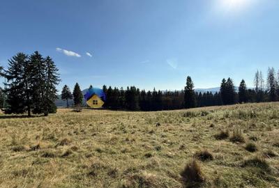 Teren de vanzare 5000 mp Piatra Neam? - 2