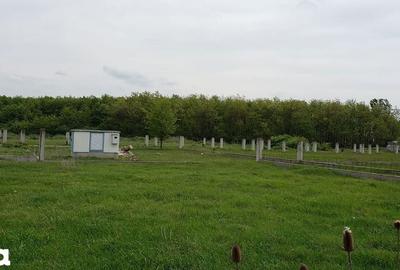 Teren de 543 mp, în Gepiu - 15
