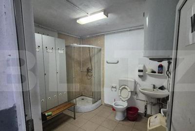 Spațiu comercial, de 135 mp, în Careiului