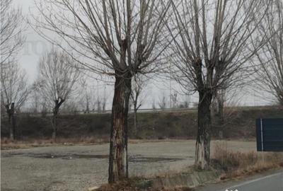 Teren de 3333 mp, în Bărcănești - 1