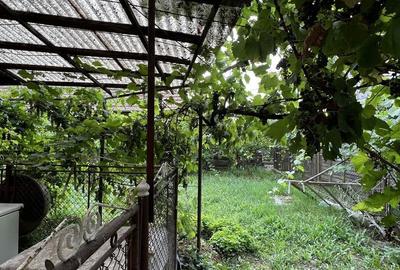 Casă cu 3 camere în Sâncraiu de Mureș - 5