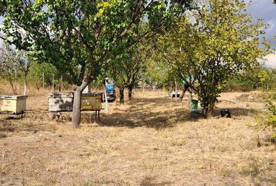 Spațiu comercial, în Central - 3