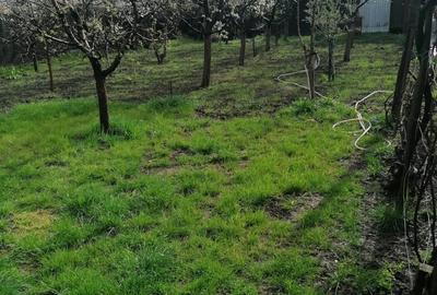 Sat Vartopu, oras Corabia, judetul Olt - 5