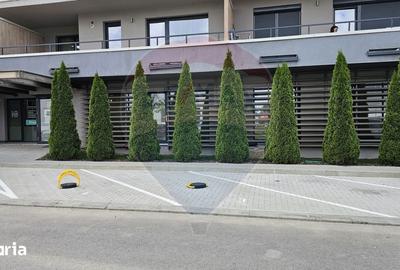 Apartament cu 2 camere, mobilat în Bartolomeu - 20