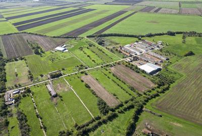 Hala de 430 mp ?i teren intravilan 2.5 ha Macea - 1