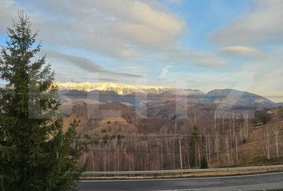 Casa de vacanta, pretabila pentru pensiune in Moieciu - 13