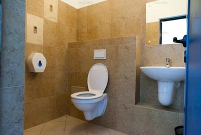 Spatiu de inchiriat, 809mp, amenajat, Tatarasi Sud - 13