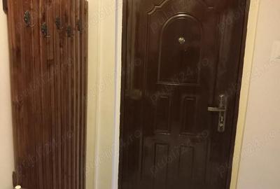 Apartament cu 2 camere semidecomandat în Banat - 4