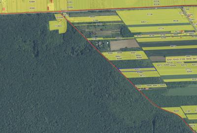 Teren de 4701 mp, în Snagov - 10