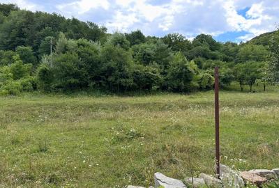 Spațiu comercial, în Central - 2