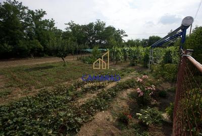 Proprietate cu casa si teren de 9000 mp - ideal investitie - Fundeni/Calarasi - 1