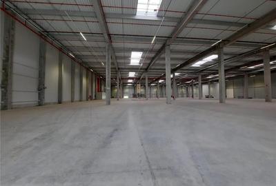 Spatiu Industrial - 1800 mp - Logistica - Productie - Depozitare - Distributie - 2