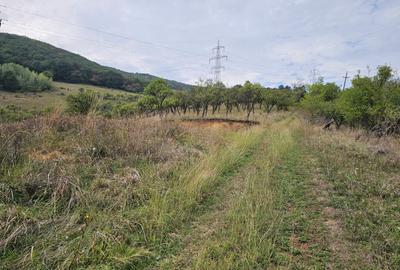 Teren exclusivist cu vedere panoramica - 4