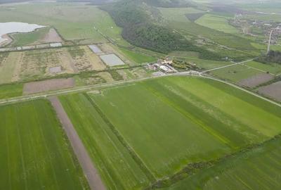 Teren extravilan de 22500mp Zona Ineu - 3