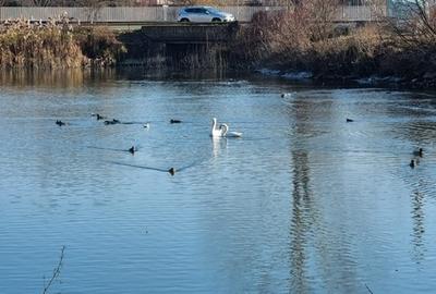 Casă individuală cu 4 camere cu Canalizare în Central - 44