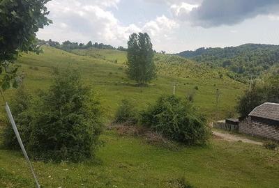 Teren de 1700 mp, în Pietroșița - 1