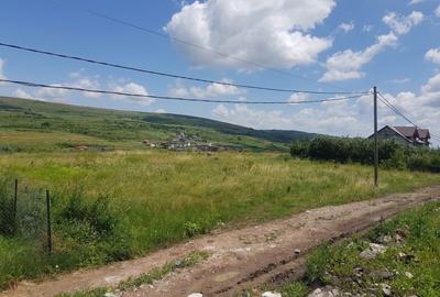 Spațiu comercial, în Central - 2