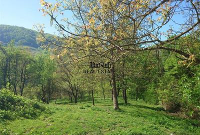 Teren intravilan si cladire in Apuseni, Blajeni, Hd - 12