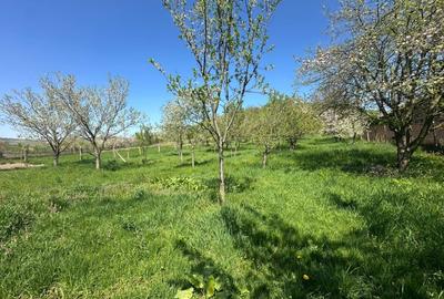 Casă individuală cu 4 camere cu Canalizare în Bucerdea Grânoasă - 13