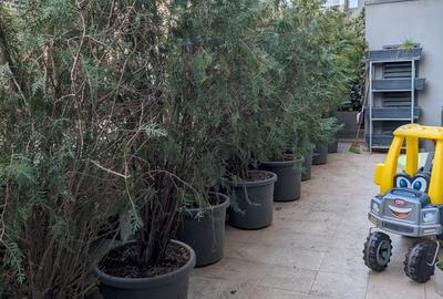 Apartament cu 3 camere în Tei - 5