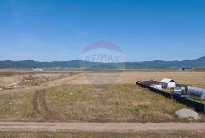 Teren Construcții intravilan de 686 mp, în Cristian - 4