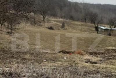 Casa batraneasca cu teren de 6700 mp intravilan, Ipatele - 4
